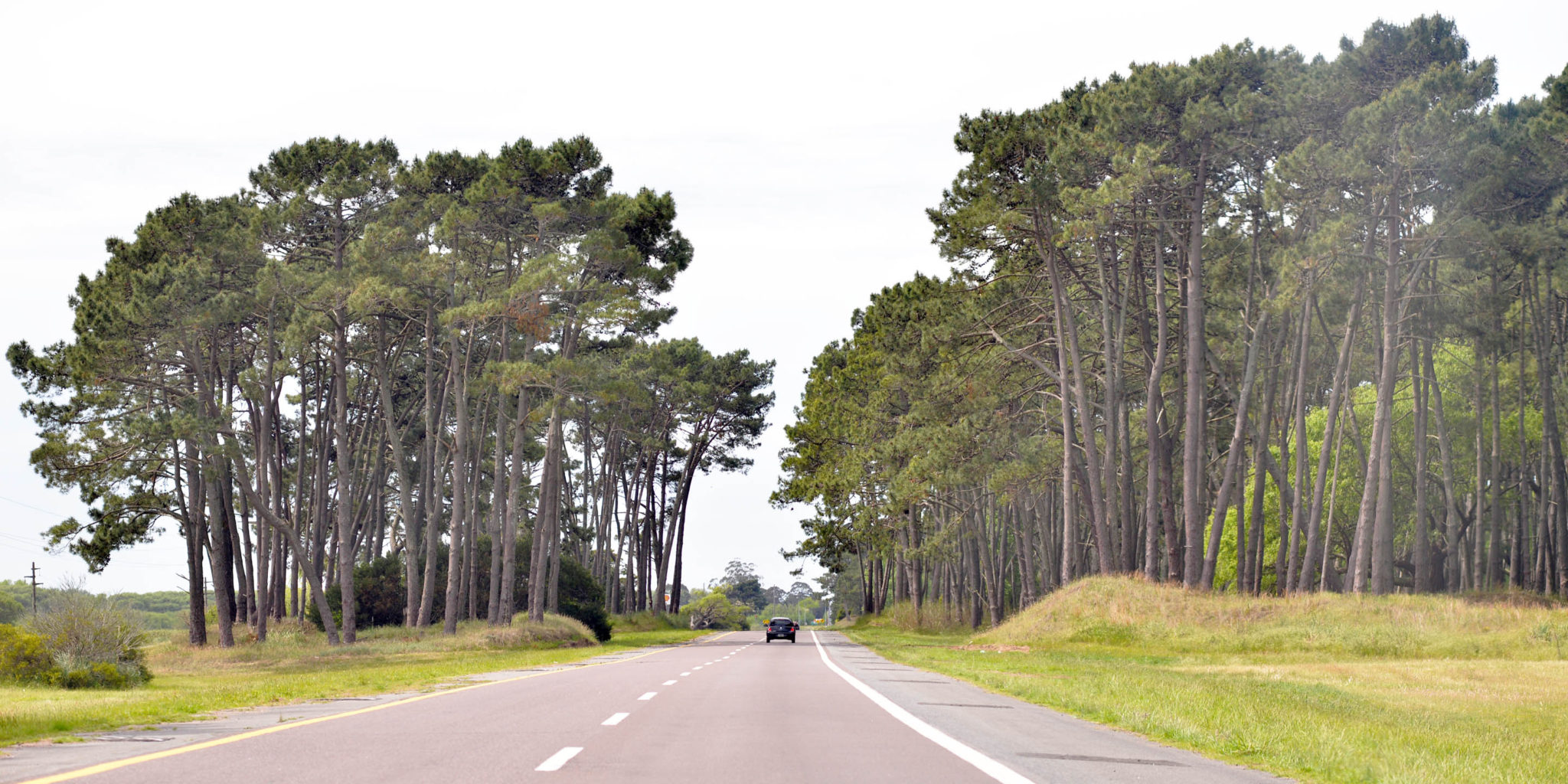 La ruta 11 ya es doble mano desde hace varios años entre Pinamar y Villa Gesell. (Foto Ricardo Stinco)