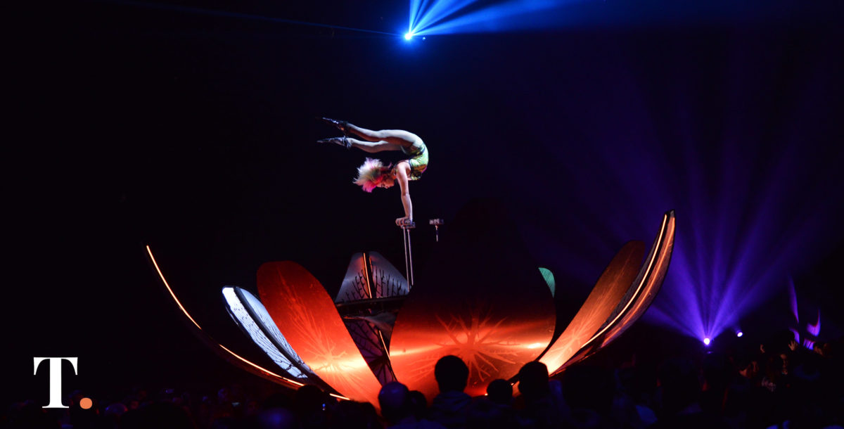 Crisis del coronavirus: Cirque du Soleil despidió al 95% de su personal