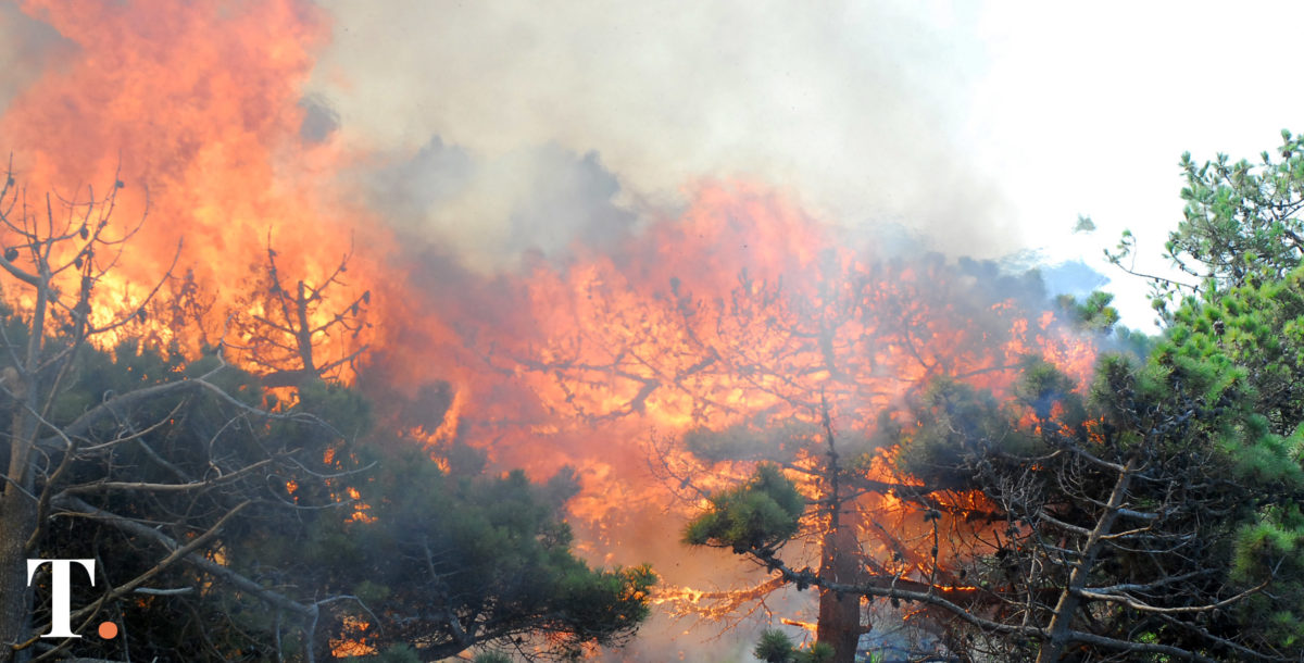 Brigadistas de incendios forestales exigen mejoras salariales y formación profesional