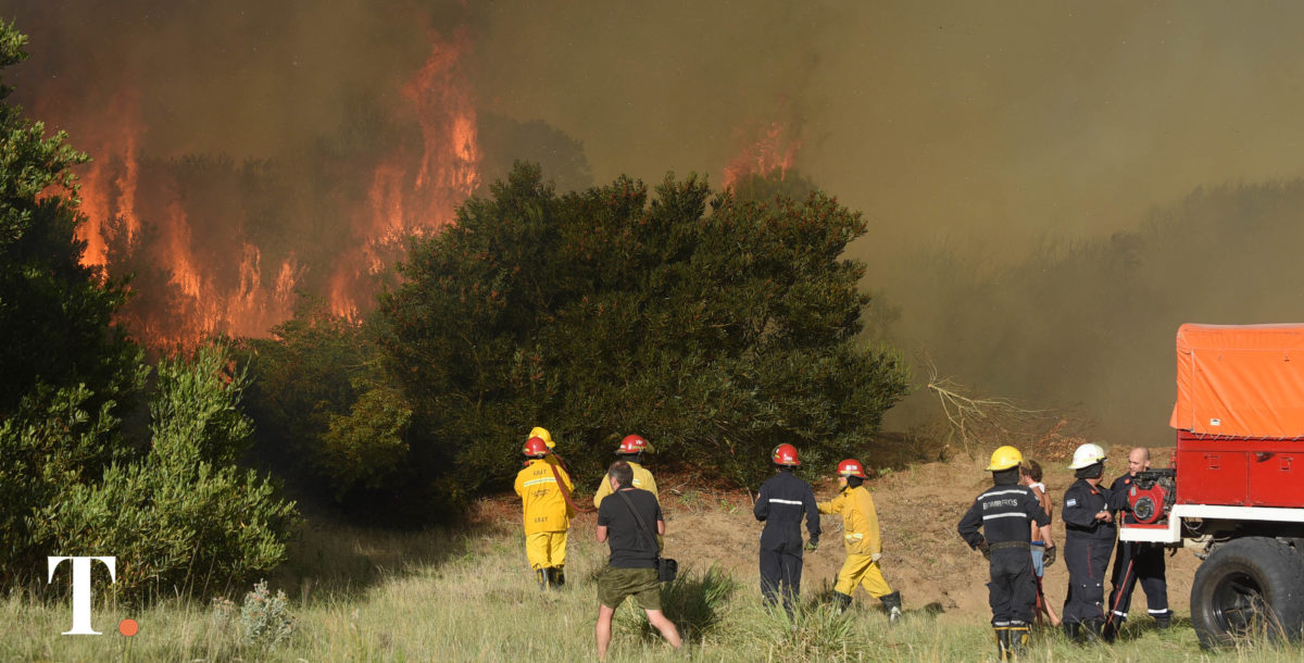 Un incendio forestal de gran magnitud obligó a evacuar la zona norte de Villa Gesell