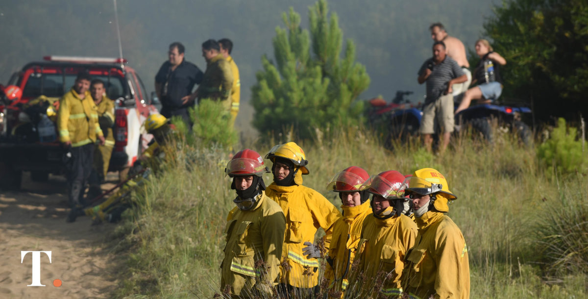 20 imágenes del impresionante trabajo de los bomberos para controlar el incendio forestal en Villa Gesell