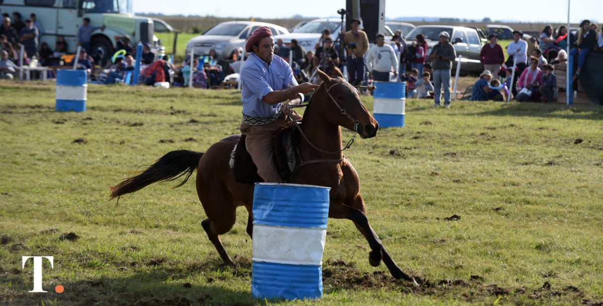 Un aula rural para la formación en torno al caballo: se viene ‘Potreros y saberes’