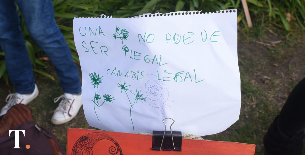 Madres que cultivan cannabis medicinal recurrirán a la Corte Suprema
