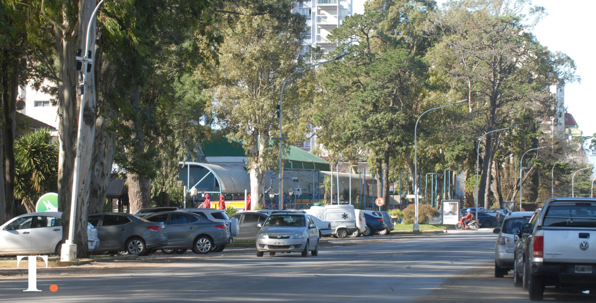 Entregan jacarandás en Pinamar en la 1° edición 2024 de ‘Mi vereda más verde’