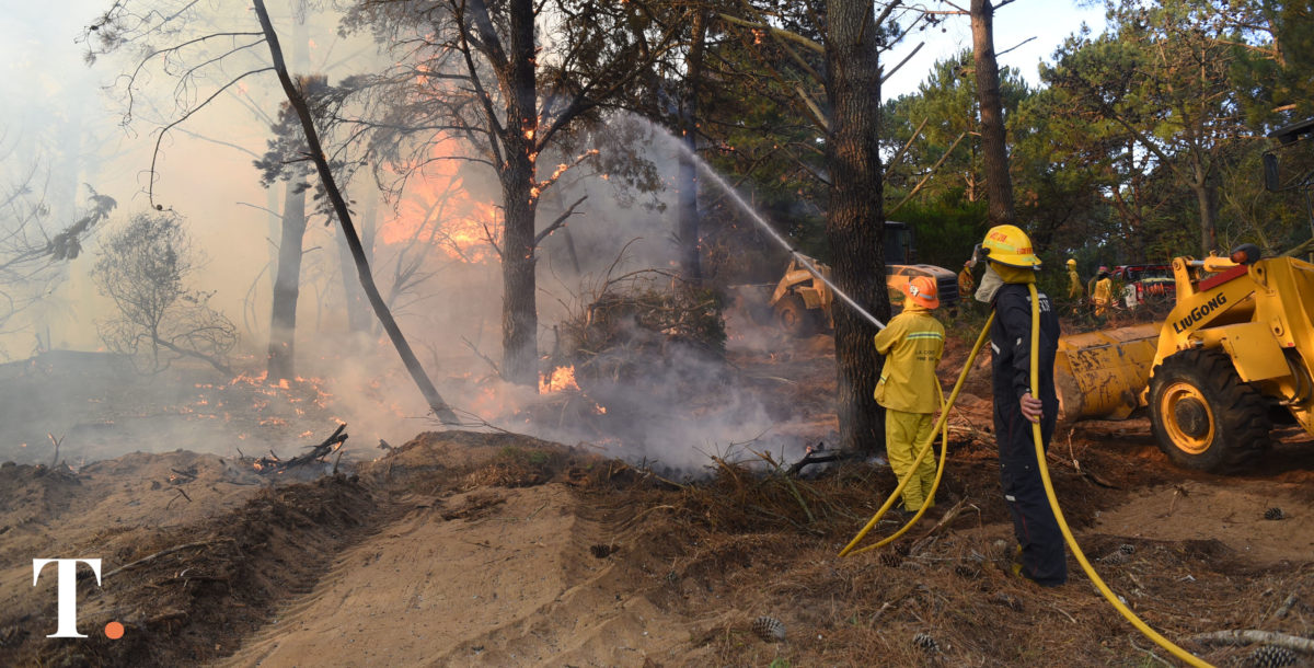 Balance de bomberos de Villa Gesell: crecen las emergencias y faltan recursos