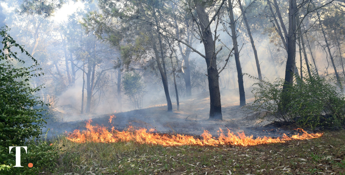 Bomberos de Villa Gesell desalientan suelta de globos aerostáticos en año nuevo