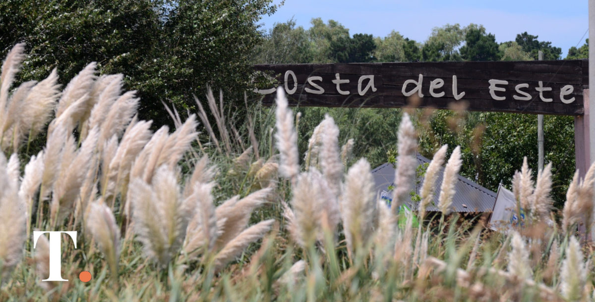 Iván Noble inaugura el ciclo de música al aire libre en Costa del Este