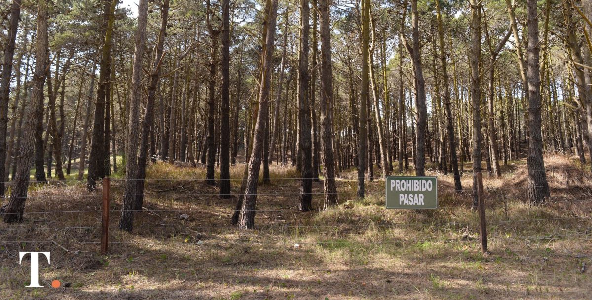 Volverán a juzgar a piloto que aterrizó un helicóptero en Pinamar sin autorización