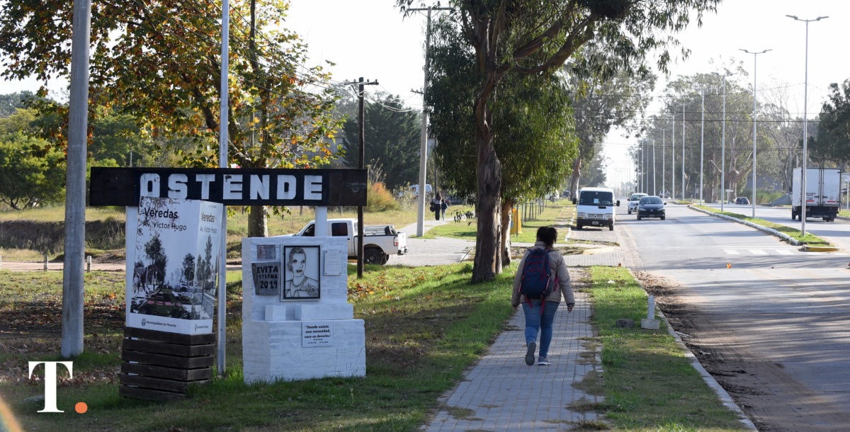 Durante febrero sigue la entrega de árboles gratuitos en Pinamar