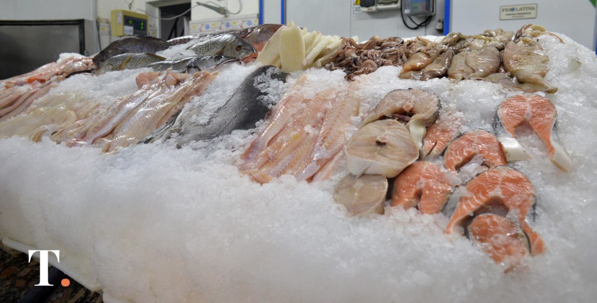 Los productos de mar de La Costa buscan nuevos mercados en Catamarca