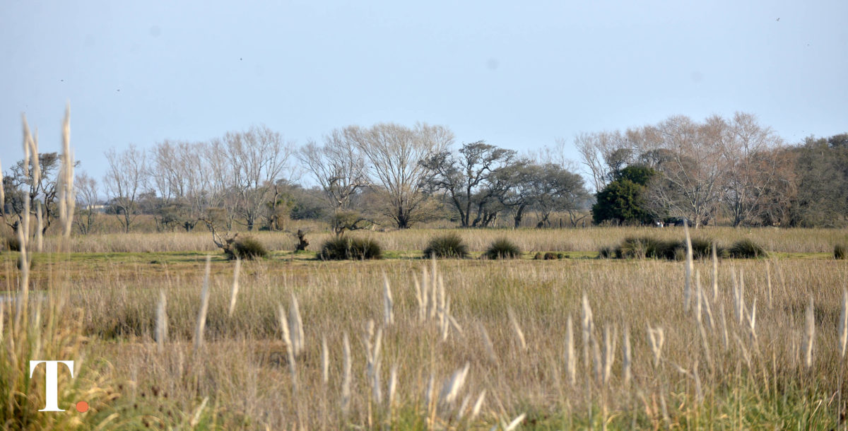 Sequía: otorgan $5.000 millones en créditos para productores bonaerenses