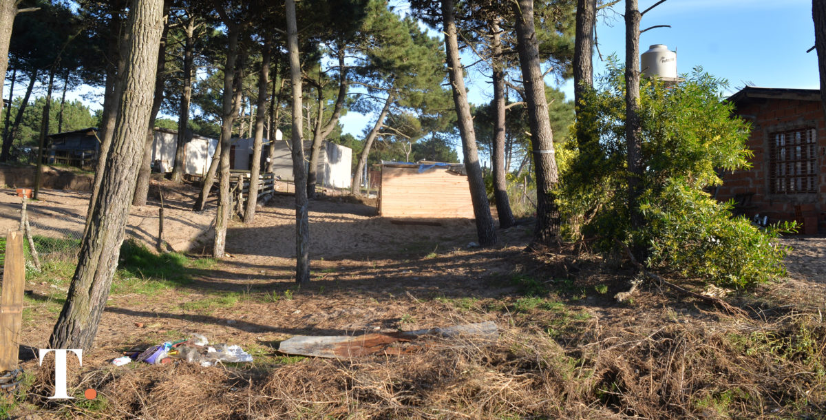 Denuncian 15 usurpaciones en Villa Gesell y darán plazos de retiro voluntario