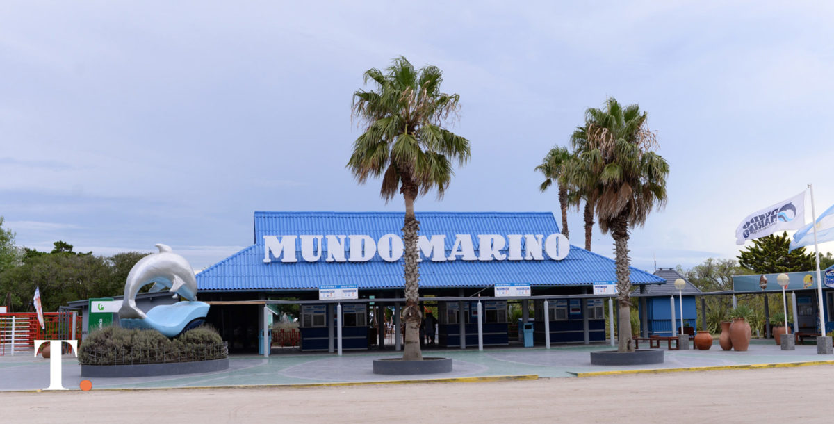 La desnutrición sigue siendo la principal causa de atención de la fauna marina