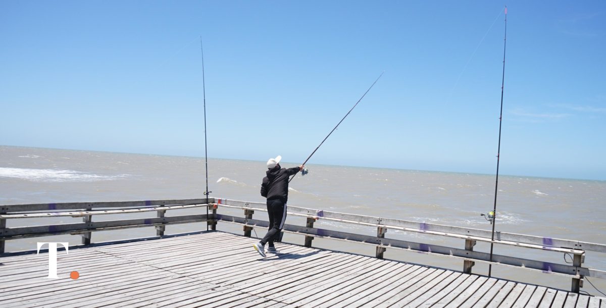 ¿Dónde comprar pescado fresco y con descuento en La Costa?