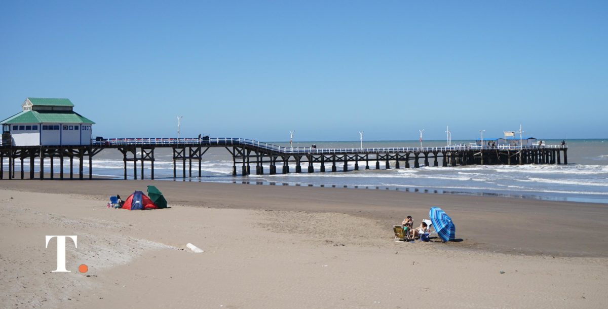 Habló el hombre que se llevó al delfín en Mar del Tuyú: “Ya estaba muerto”