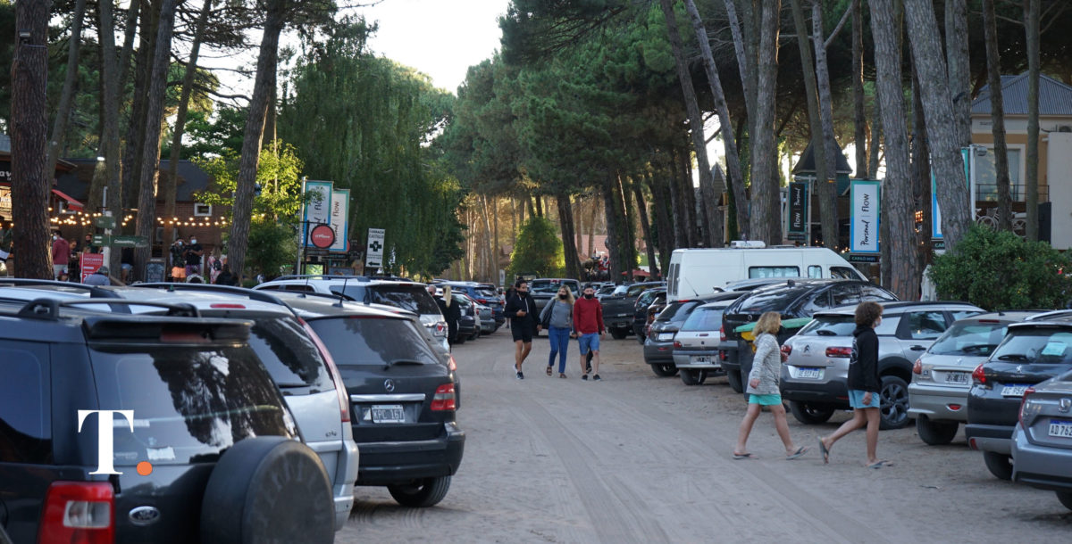 Regresa ‘Pinamar Foresta’ con cuatro jornadas de entrega de árboles