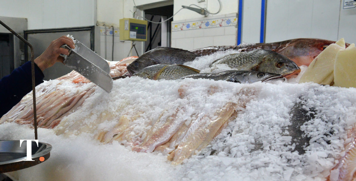 Por un día: vuelve el ahorro con ‘Cuenta DNI’ en granjas, carnicerías y pescaderías