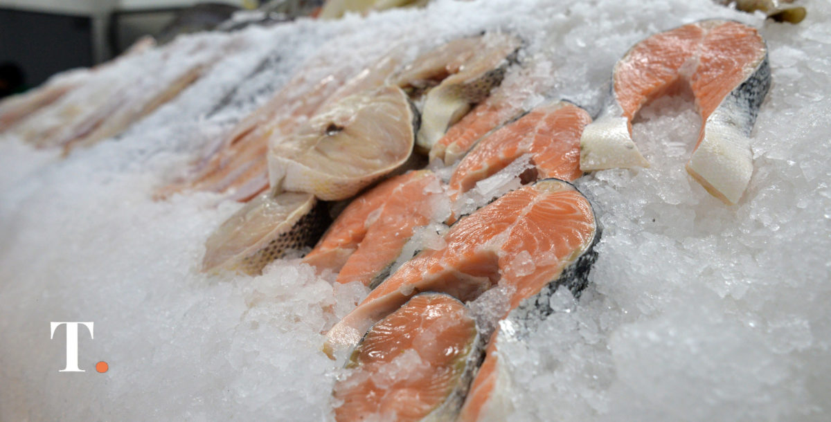 Mar Chiquita, el nuevo epicentro para la formación técnica en pesca y acuicultura