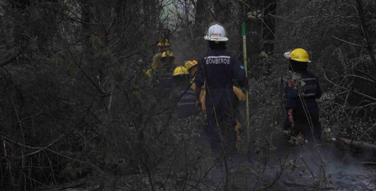 Incendio forestal en Cariló: varios focos movilizaron a los bomberos de toda la región