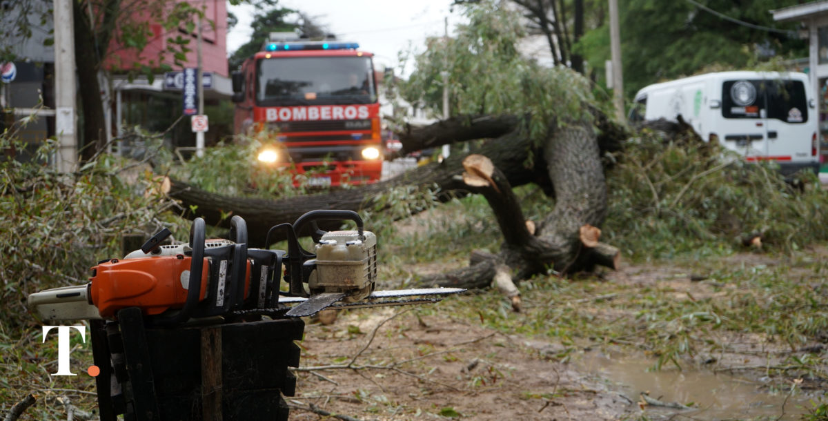 Temporal en Villa Gesell: destrozos, corte de energía y más de 50 salidas de bomberos