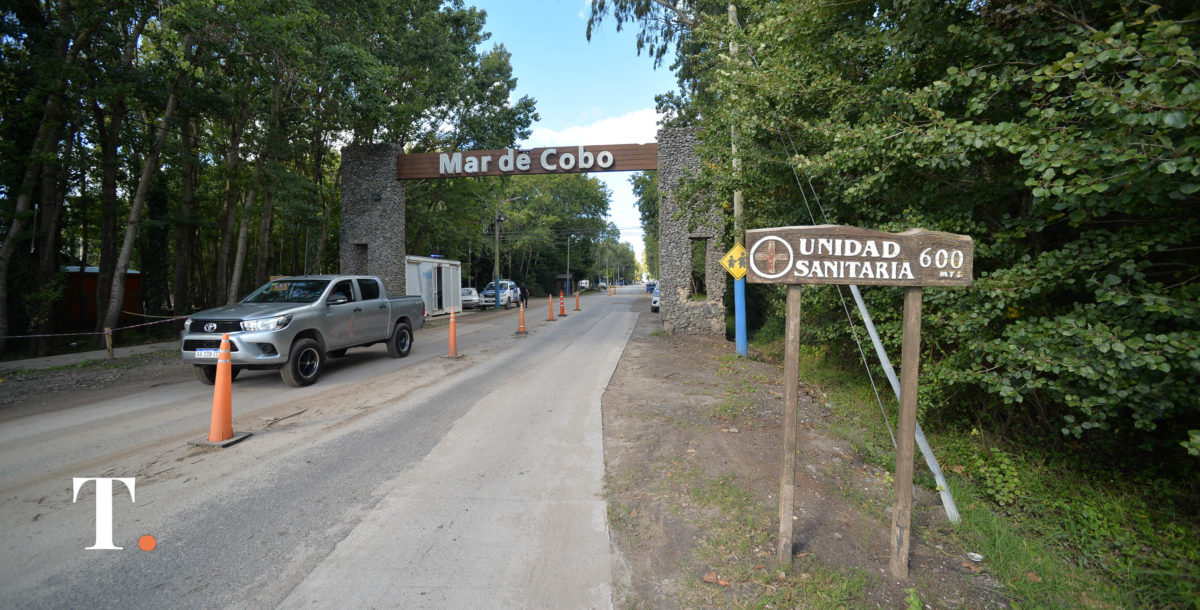 Mar de Cobo celebra la semana del árbol con un festival ambiental