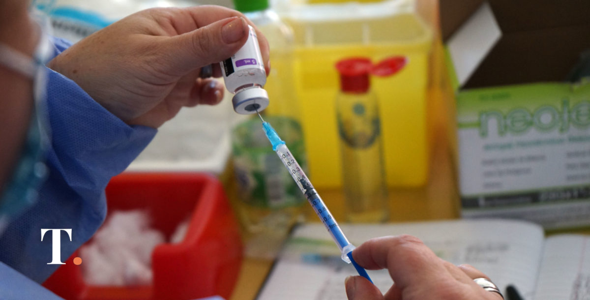 Recomiendan vacunarse contra la fiebre hemorrágica argentina