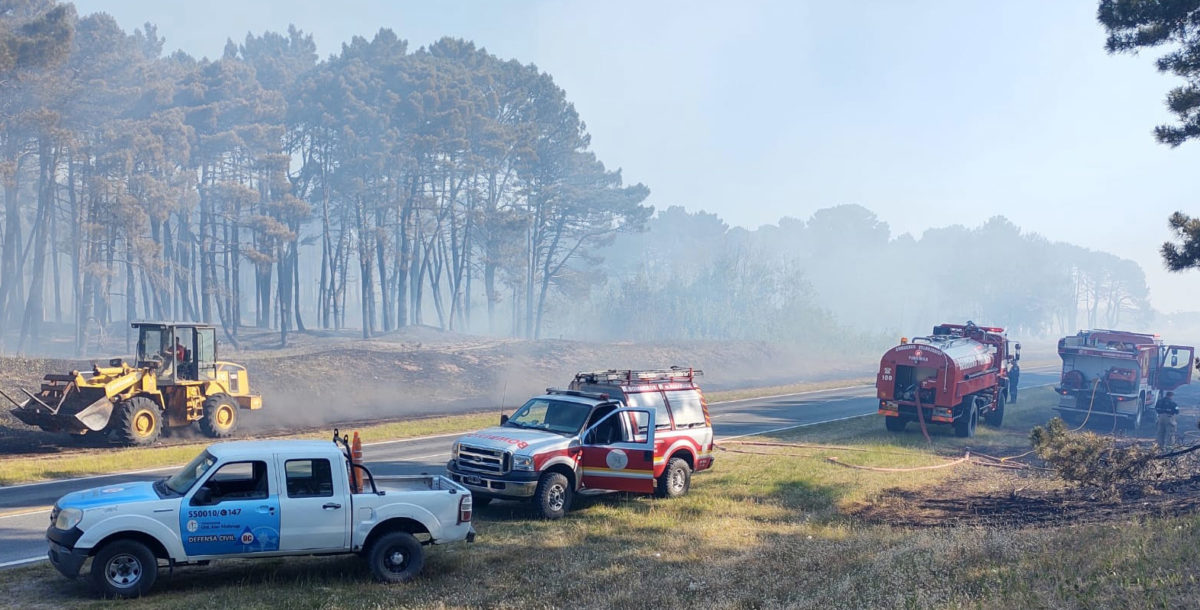 Controlan el incendio en Pinamar y realizan tareas de enfriamiento