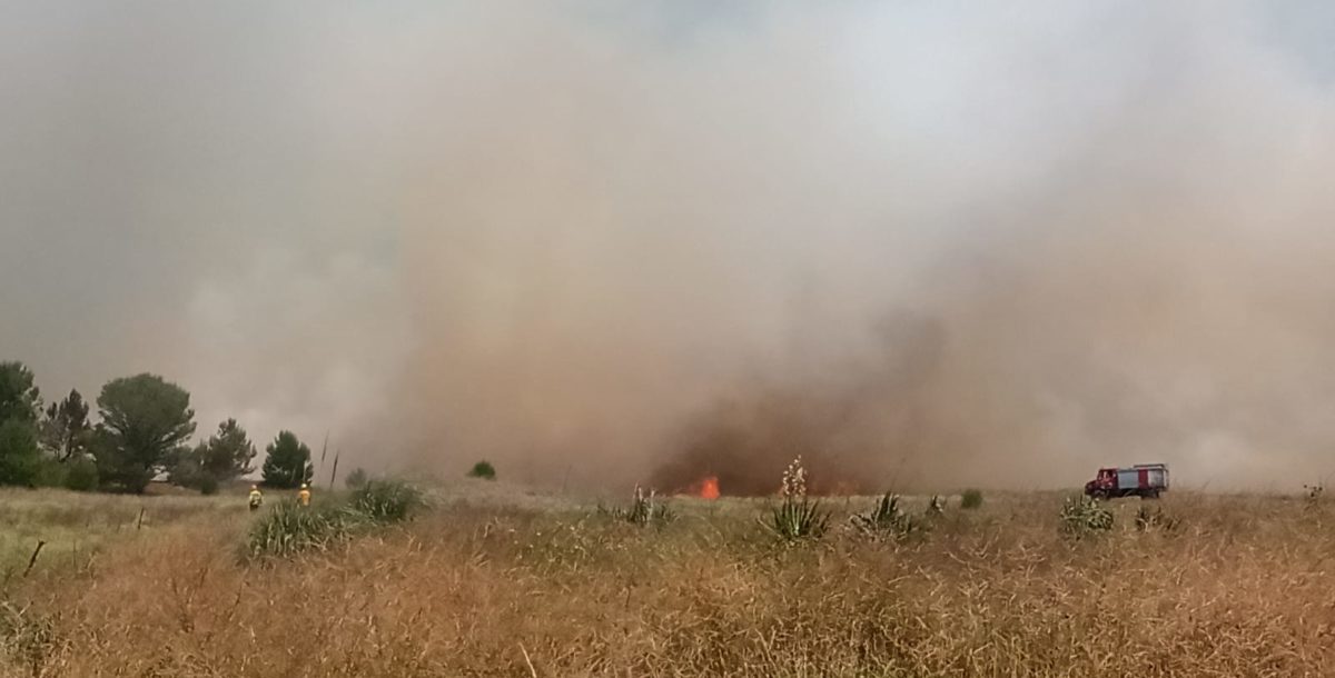 Incendio forestal en Mar Azul con intervención de 15 dotaciones de bomberos