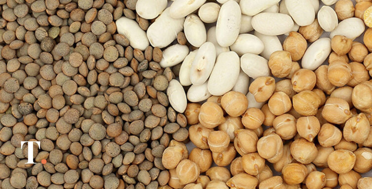 Se consumen solo 800 gramos de legumbres por persona al año en Argentina