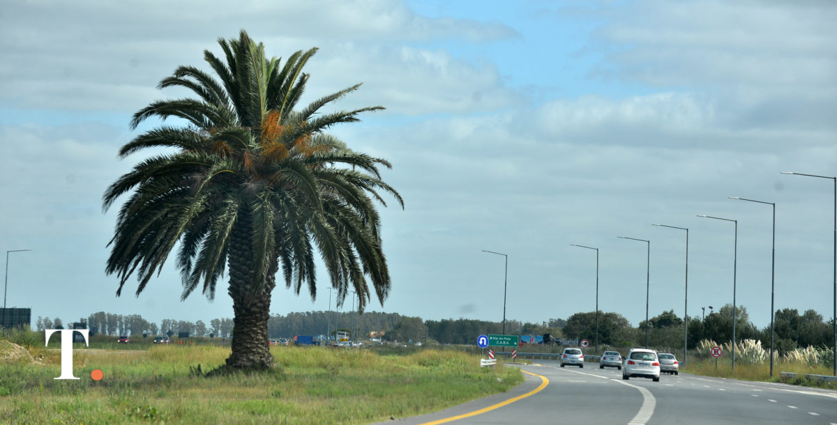 Contabilizan más de 2.200 vehículos en rutas 2 y 11 rumbo la costa bonaerense