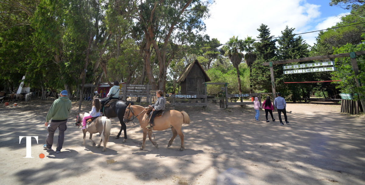Encefalomielitis equina: se estableció la vacunación obligatoria en todo el país