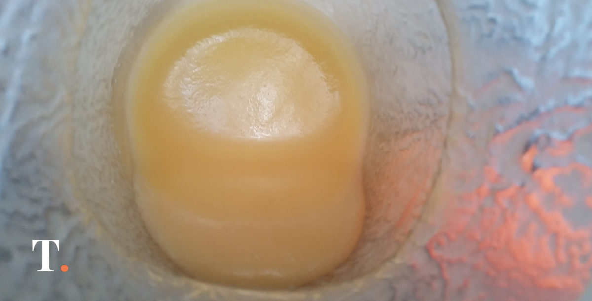 Advierten por presencia de agroquímicos y contaminantes en productos apícolas