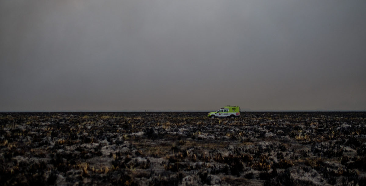 Incendio en la reserva de Mar Chiquita: “Si era verano esto termina en catástrofe”