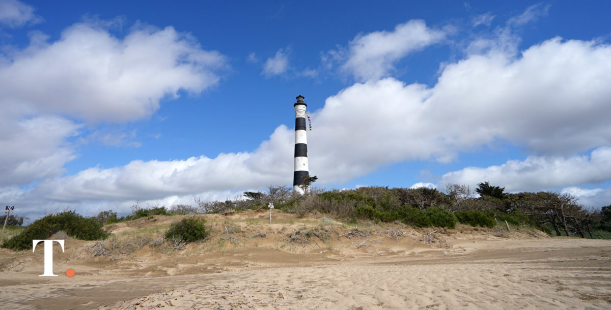 Conservación y biodiversidad: 29 años de la reserva del faro Querandí