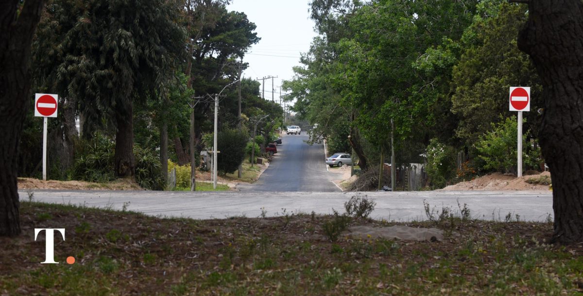 Abrió la inscripción al plan de forestación de veredas en Villa Gesell