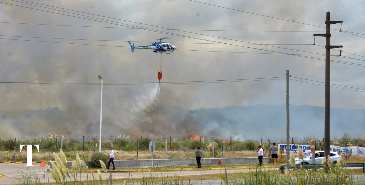 Un importante incendio forestal se desató al norte de Villa Gesell