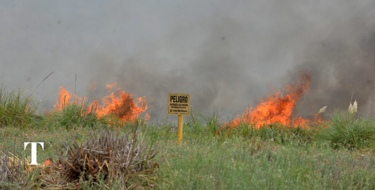 Alerta por riesgo extremo de propagación de incendios forestales en la región