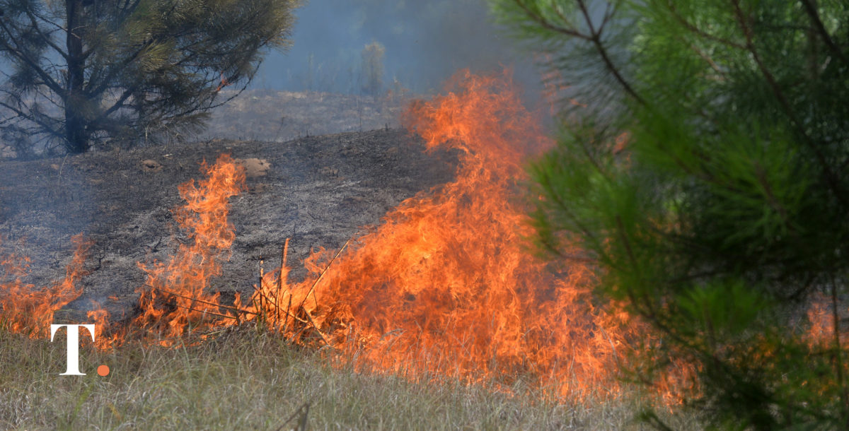 Alerta por alto riesgo de propagación de incendios forestales en la región