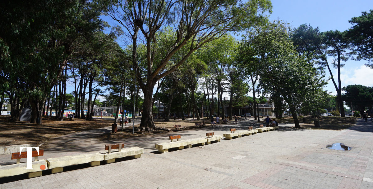 Se celebra en San Bernardo la 40º edición de la Fiesta del Sol y la Familia