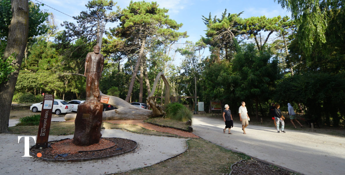 El pinar histórico de Villa Gesell volverá a estar bajo potestad municipal