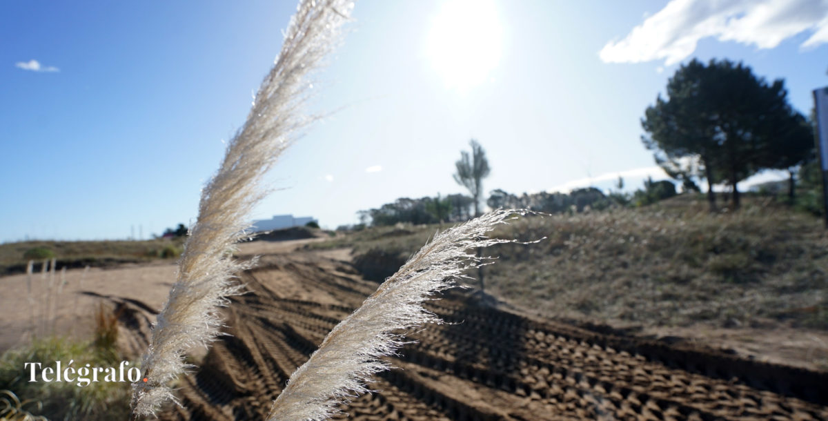 Parque ambiental de Villa Gesell: un proyecto integral con conciencia ecológica
