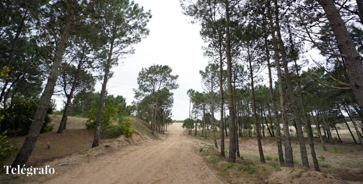 Usurpaciones en Villa Gesell: instalaron una casilla en un terreno municipal