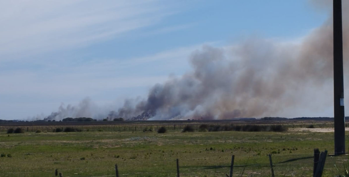 Un incendio de gran magnitud se desató en paraje Juancho