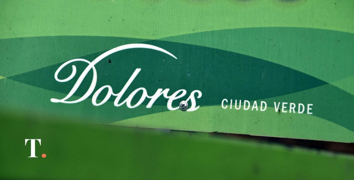Así funciona la recolección y reciclado de aceite usado en Dolores