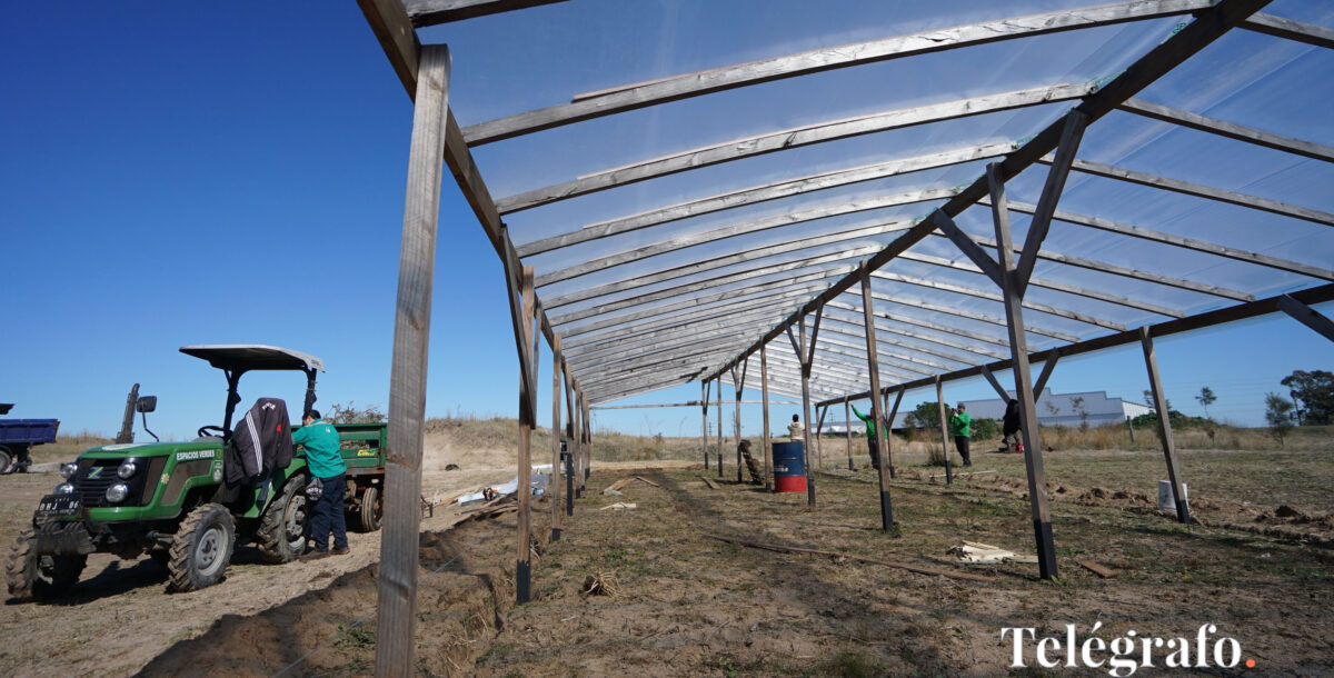 vivero Villa Gesell parque ambiental