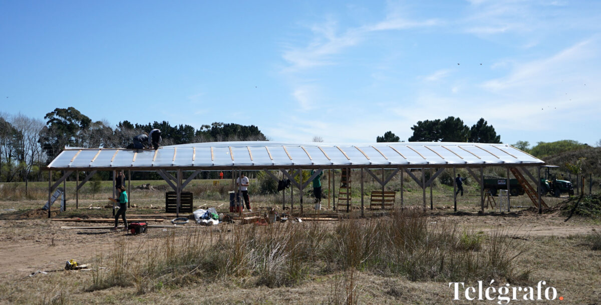 Construyen un invernáculo en el futuro parque ambiental de Villa Gesell