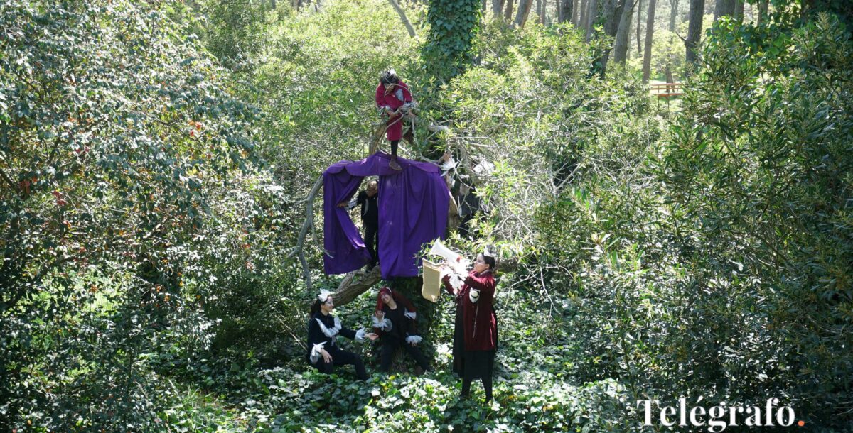‘Entresueños’, una nueva propuesta artística en los bosques de Villa Gesell