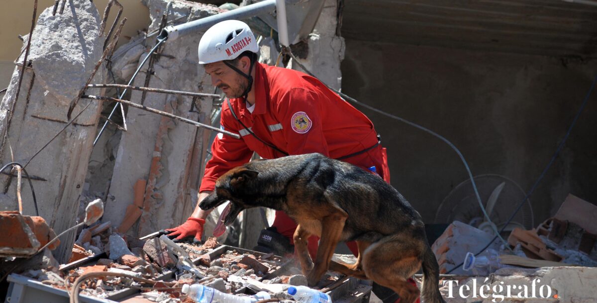 Otro aporte esencial de la brigada K9 de bomberos de Villa Gesell en situación de catástrofe