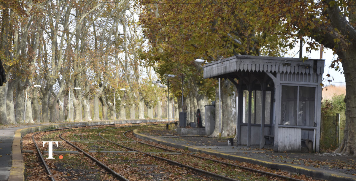 Cambia la circulación del tren a Mar del Plata por obra de renovación de vías