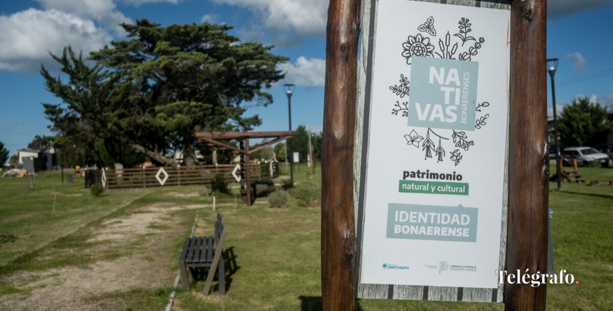 Ambiente: la inversión del gobierno bonaerense desde 2021 a la actualidad